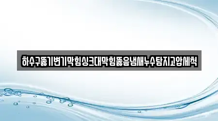 하수구뚫기변기막힘싱크대막힘뚫음냄새누수탐지고압세척