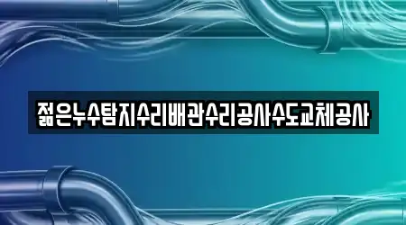젊은누수탐지수리배관수리공사수도교체공사