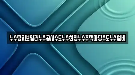 누수탐지보일러누수공사수도누수천장누수주택마당수도누수설비