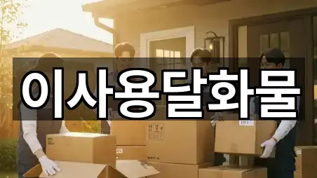 대전 상소동 이사 5곳 지도 총망라