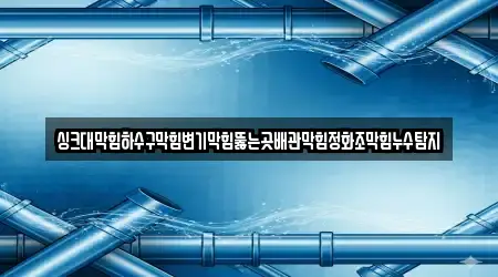 싱크대막힘하수구막힘변기막힘뚫는곳배관막힘정화조막힘누수탐지