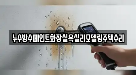 누수방수페인트화장실욕실리모델링주택수리