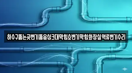 하수구뚫는곳변기뚫음싱크대막힘소변기막힘화장실역류변기수리