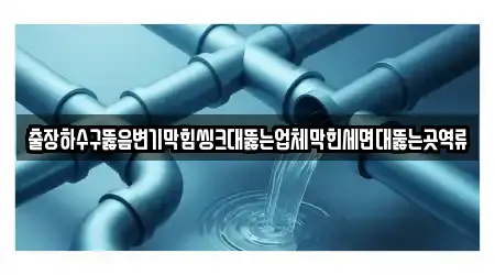 출장하수구뚫음변기막힘씽크대뚫는업체막힌세면대뚫는곳역류