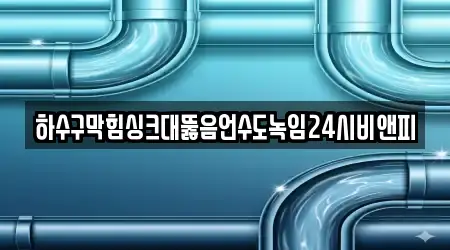 하수구막힘싱크대뚫음언수도녹임24시비앤피