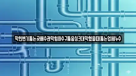 막힌변기뚫는곳배수관막힘하수구뚫음싱크대막혔을때뚫는업체누수