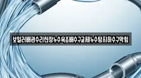 보일러배관수리천장누수욕조배수구교체누수탐지하수구막힘