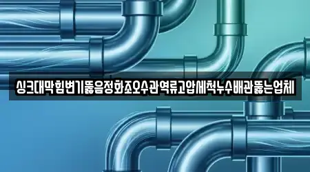 싱크대막힘변기뚫음정화조오수관역류고압세척누수배관뚫는업체