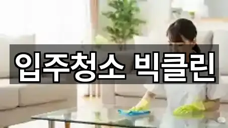 입주청소 빅클린