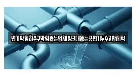변기막힘하수구막힘뚫는업체싱크대뚫는곳변기누수고압세척