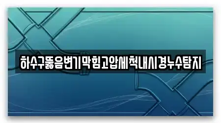 하수구뚫음변기막힘고압세척내시경누수탐지