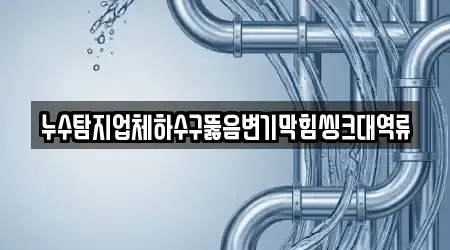 누수탐지업체하수구뚫음변기막힘씽크대역류