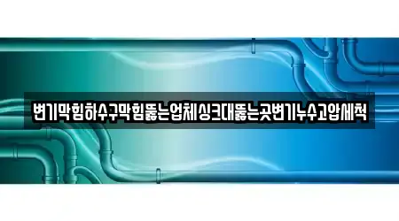 변기막힘하수구막힘뚫는업체싱크대뚫는곳변기누수고압세척