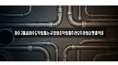 하수구뚫음하수도막힘뚫는곳정화조막힘횡주관오주관청소맨홀역류
