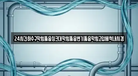 24시간하수구막힘뚫음싱크대막힘뚫음변기뚫음막힘고압세척내시경