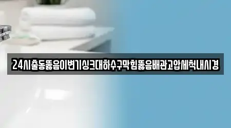 24시출동뚫음이변기싱크대하수구막힘뚫음배관고압세척내시경