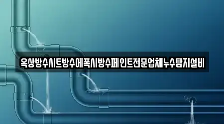 옥상방수시트방수에폭시방수페인트전문업체누수탐지설비