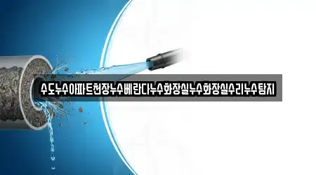 수도누수아파트천장누수베란다누수화장실누수화장실수리누수탐지