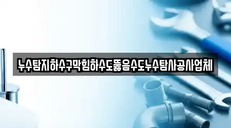 누수탐지하수구막힘하수도뚫음수도누수탐사공사업체