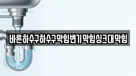 바른하수구하수구막힘변기막힘싱크대막힘