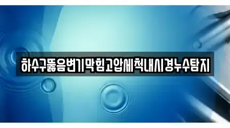 하수구뚫음변기막힘고압세척내시경누수탐지