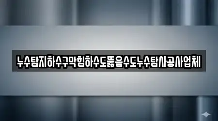 누수탐지하수구막힘하수도뚫음수도누수탐사공사업체