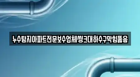 누수탐지아파트전문보수업체씽크대하수구막힘뚫음