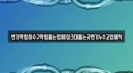 변기막힘하수구막힘뚫는업체싱크대뚫는곳변기누수고압세척
