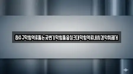 하수구막힘역류뚫는곳변기막힘뚫음싱크대막힘역류내시경악취제거