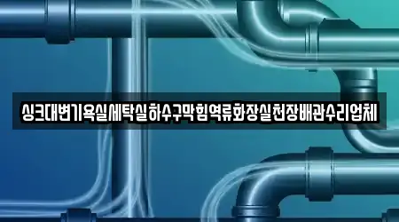 싱크대변기욕실세탁실하수구막힘역류화장실천장배관수리업체