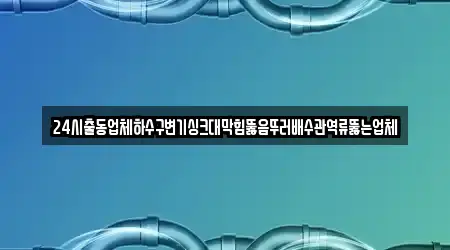 1곳 전라남도 나주시 성북동 배수관 막힘 한 번에