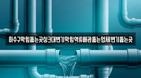 하수구막힘뚫는곳싱크대변기막힘역류배관뚫는업체변기뚫는곳