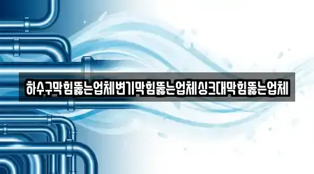 하수구막힘뚫는업체변기막힘뚫는업체싱크대막힘뚫는업체