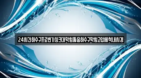 24시간하수구프로변기싱크대막힘뚫음하수구막힘고압세척내시경