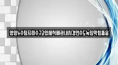 영암누수탐지하수구고압세척배관내시경언수도녹임막힘뚫음