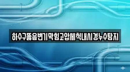 하수구뚫음변기막힘고압세척내시경누수탐지
