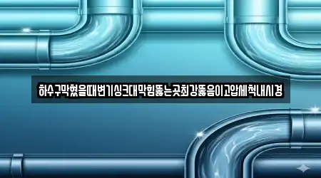 하수구막혔을때변기싱크대막힘뚫는곳최강뚫음이고압세척내시경