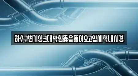 하수구변기싱크대막힘뚫음뚫어요고압세척내시경