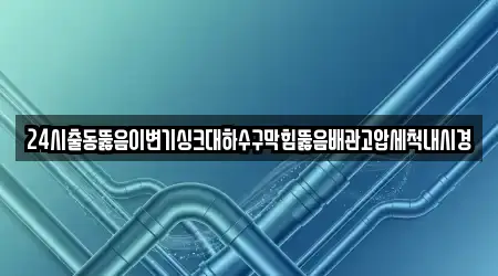 24시출동뚫음이변기싱크대하수구막힘뚫음배관고압세척내시경