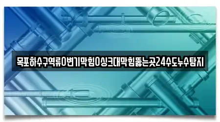 목포하수구역류0변기막힘0싱크대막힘뚫는곳24수도누수탐지