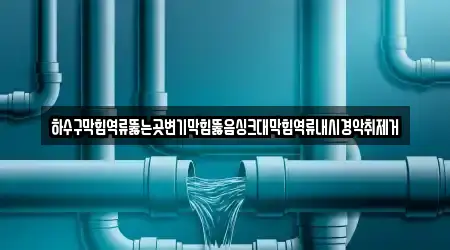 하수구막힘역류뚫는곳변기막힘뚫음싱크대막힘역류내시경악취제거