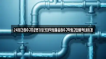 24시간하수구프로변기싱크대막힘뚫음하수구막힘고압세척내시경