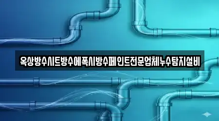 옥상방수시트방수에폭시방수페인트전문업체누수탐지설비