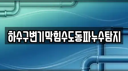 하수구변기막힘수도동파누수탐지