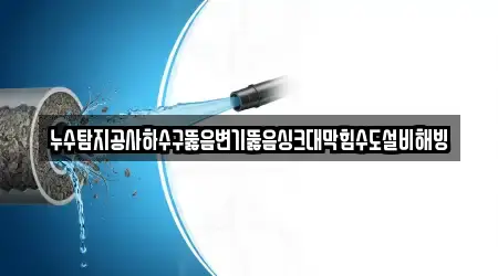 누수탐지공사하수구뚫음변기뚫음싱크대막힘수도설비해빙