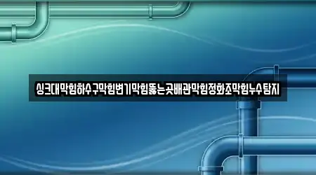 싱크대막힘하수구막힘변기막힘뚫는곳배관막힘정화조막힘누수탐지