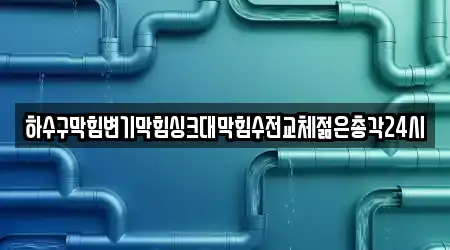 하수구막힘변기막힘싱크대막힘수전교체젊은총각24시