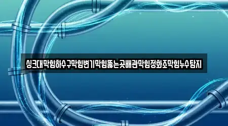 싱크대막힘하수구막힘변기막힘뚫는곳배관막힘정화조막힘누수탐지