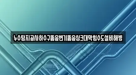 누수탐지공사하수구뚫음변기뚫음싱크대막힘수도설비해빙