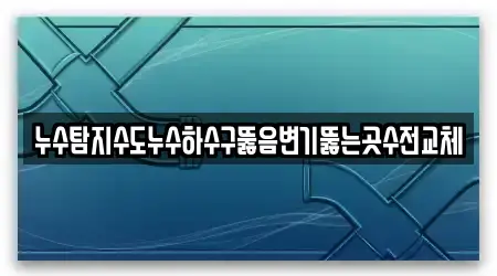 누수탐지수도누수하수구뚫음변기뚫는곳수전교체
